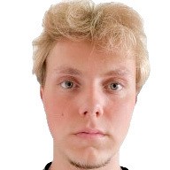 BRETTON J.