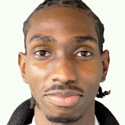 L. STEVEN EMILE